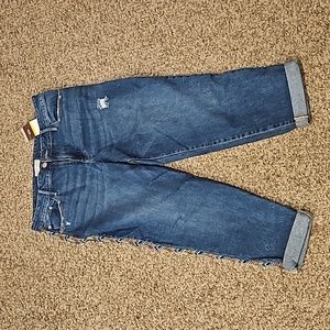 Knox Rose Jeans